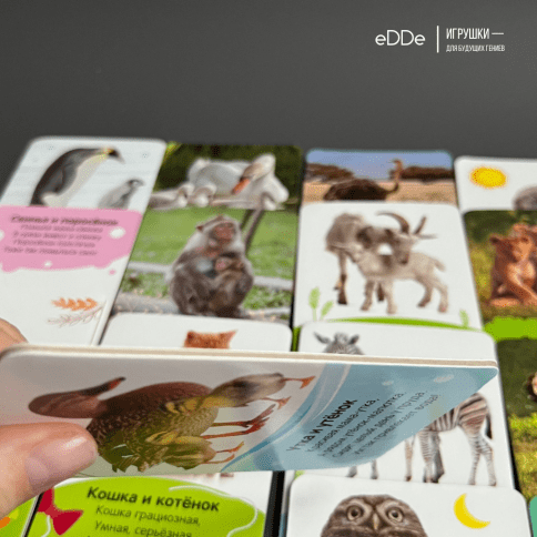Серия умных двухсторонних картонных  карточек "Животные" 16 карточек фото 6
