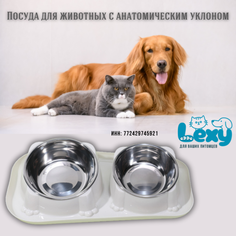 Миска для кошек собак двойная «Лекси - Lexy» | Посуда для животных мелких и средних пород  фото 2