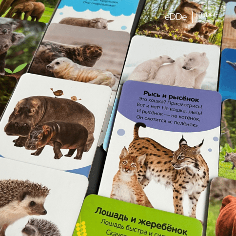 Серия умных двухсторонних картонных  карточек "Животные" 16 карточек фото 3
