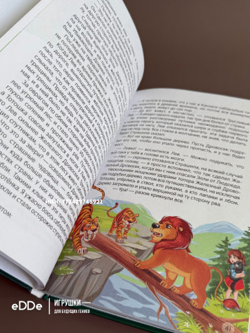 Детская книга Внеклассное чтение Волшебник изумрудного город фото 8