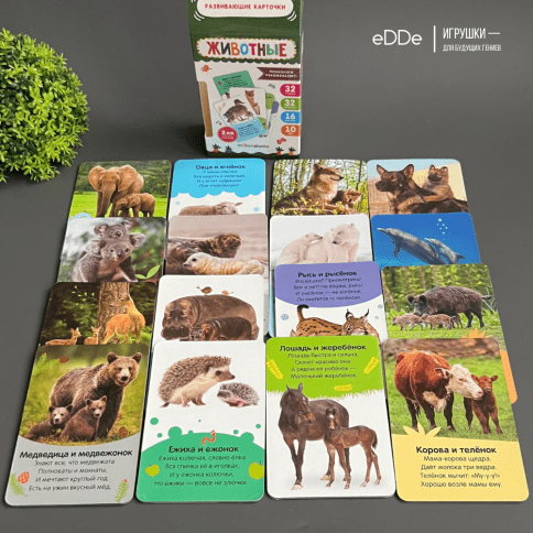 Серия умных двухсторонних картонных  карточек "Животные" 16 карточек фото 1