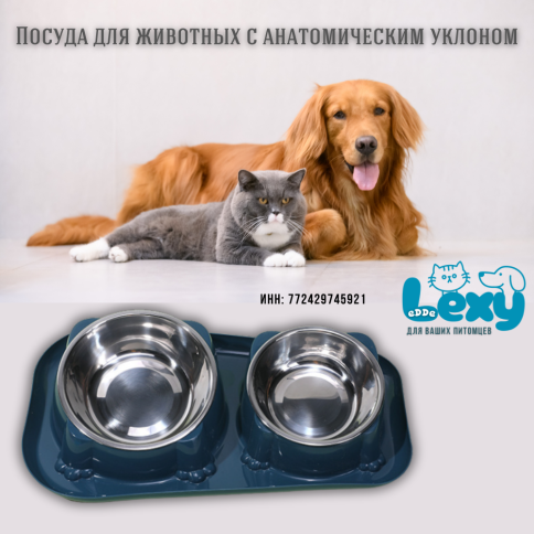Миска для кошек собак двойная «Лекси - Lexy» | Посуда для животных мелких и средних пород  фото 3