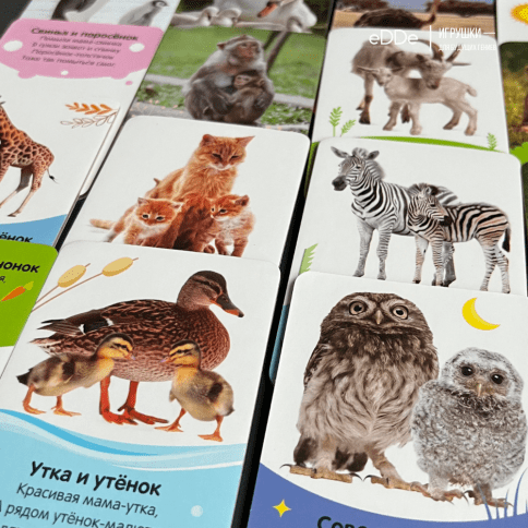 Серия умных двухсторонних картонных  карточек "Животные" 16 карточек фото 5