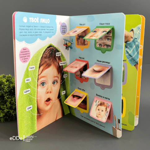 Книга с окошками для малышей "Мое тело" фото 1