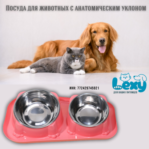 Миска для кошек собак двойная «Лекси - Lexy» | Посуда для животных мелких и средних пород  фото 1