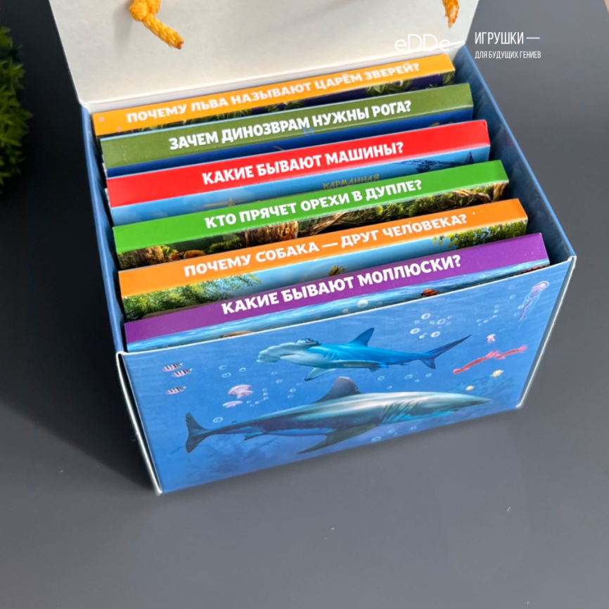 Набор карманных панорамных энциклопедий №1 / 6 книг в комплекте фото 9