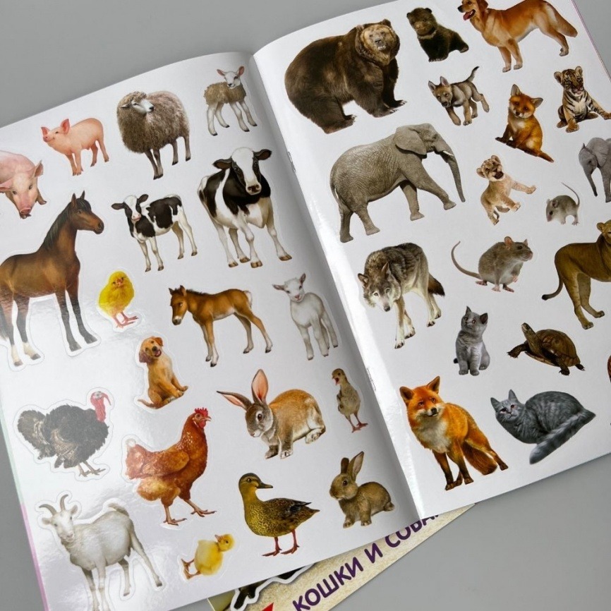 Многоразовые наклейки «Мир животных», А4, 2 шт. фото 2