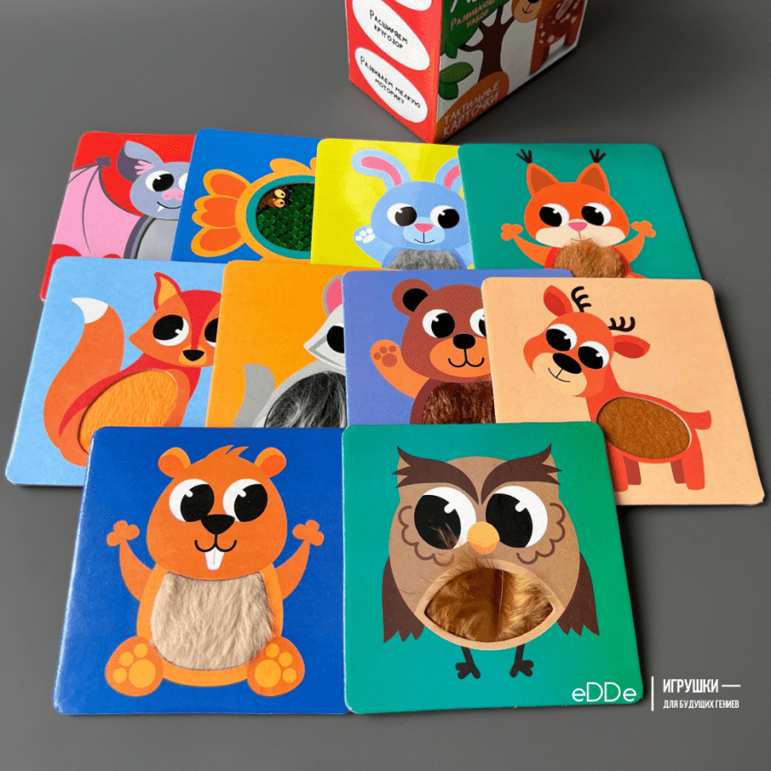 Набор тактильных карточек для малышей «Лесные звери» фото 1